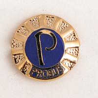 LRG 'P' Lapel Badge 13mm - Gold