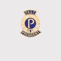 Past President Lapel Badge - Gold